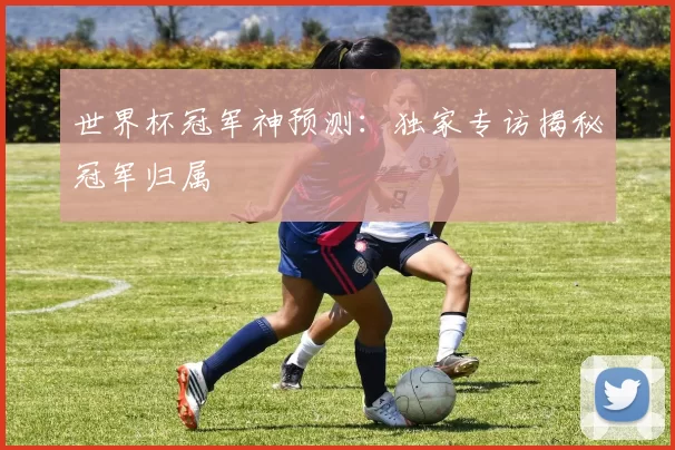 世界杯冠军神预测：独家专访揭秘冠军归属
