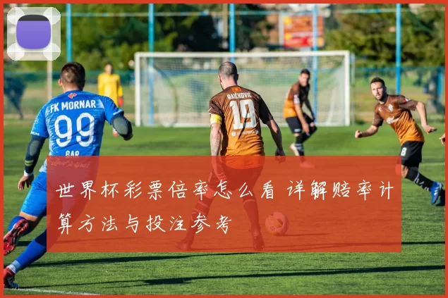 世界杯彩票倍率怎么看 详解赔率计算方法与投注参考