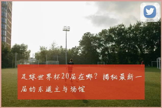 足球世界杯20届在哪？揭秘最新一届的东道主与场馆