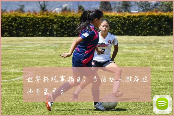 世界杯观赛指南:专访达人推荐这些可靠平台