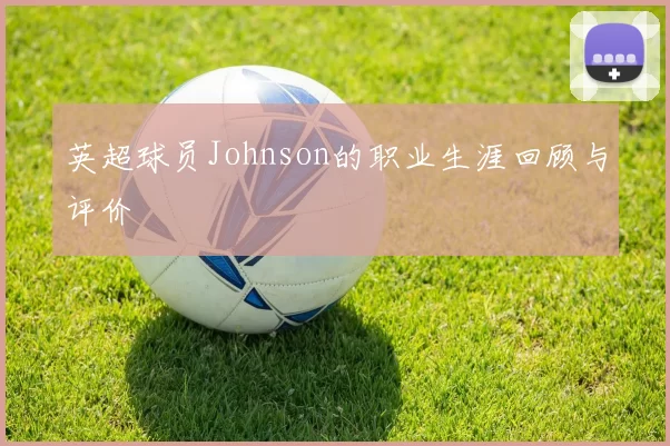 英超球员Johnson的职业生涯回顾与评价