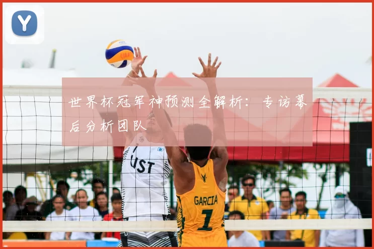 世界杯冠军神预测全解析：专访幕后分析团队
