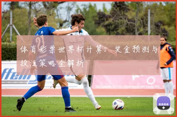 体育彩票世界杯计算：奖金预测与投注策略全解析