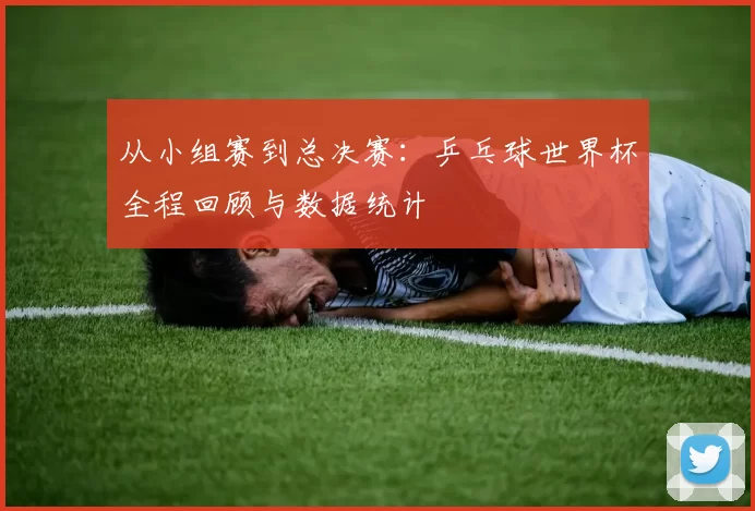 从小组赛到总决赛:乒乓球世界杯全程回顾与数据统计