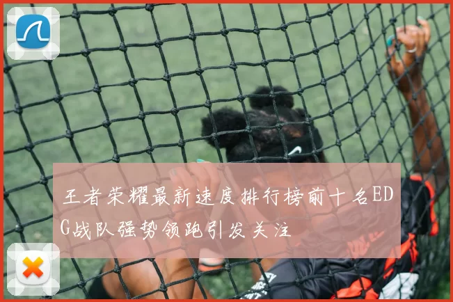 王者荣耀最新速度排行榜前十名EDG战队强势领跑引发关注